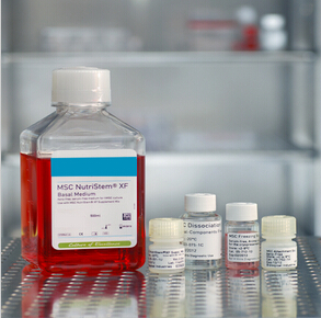03-038-1B   BIOMYC-3抗生素溶液（100X）   100ml